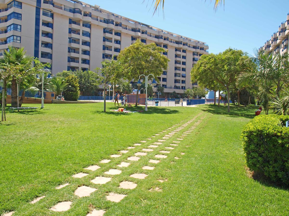Apartup Patacona Orchard Views Valencia Eksteriør bilde